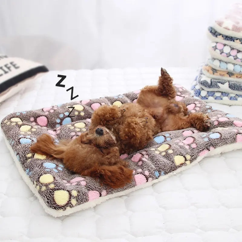 Manta Térmica Autoaquecível para Cães e Gatos
