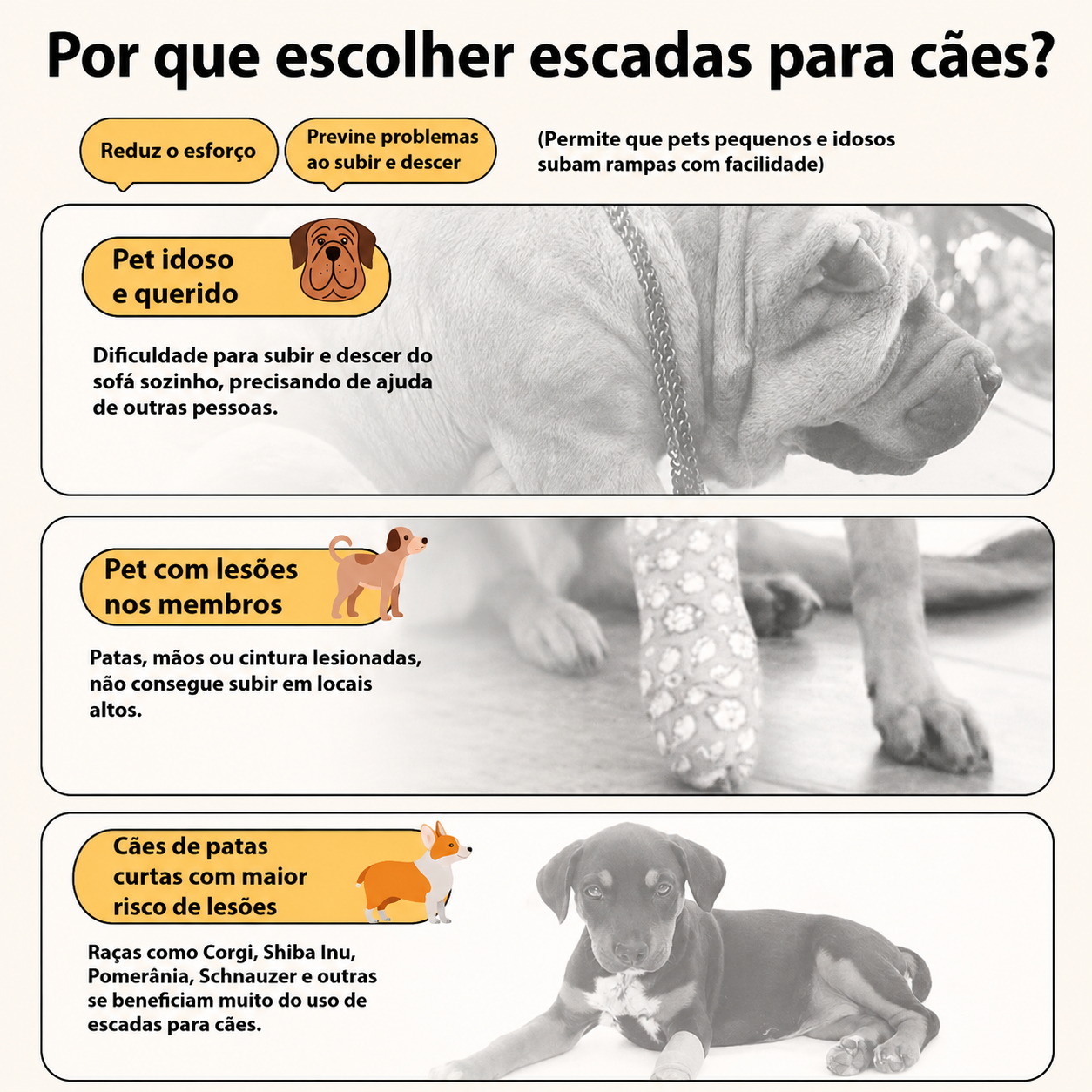 Escada Ortopédica para Pets com Espuma de Alta Densidade