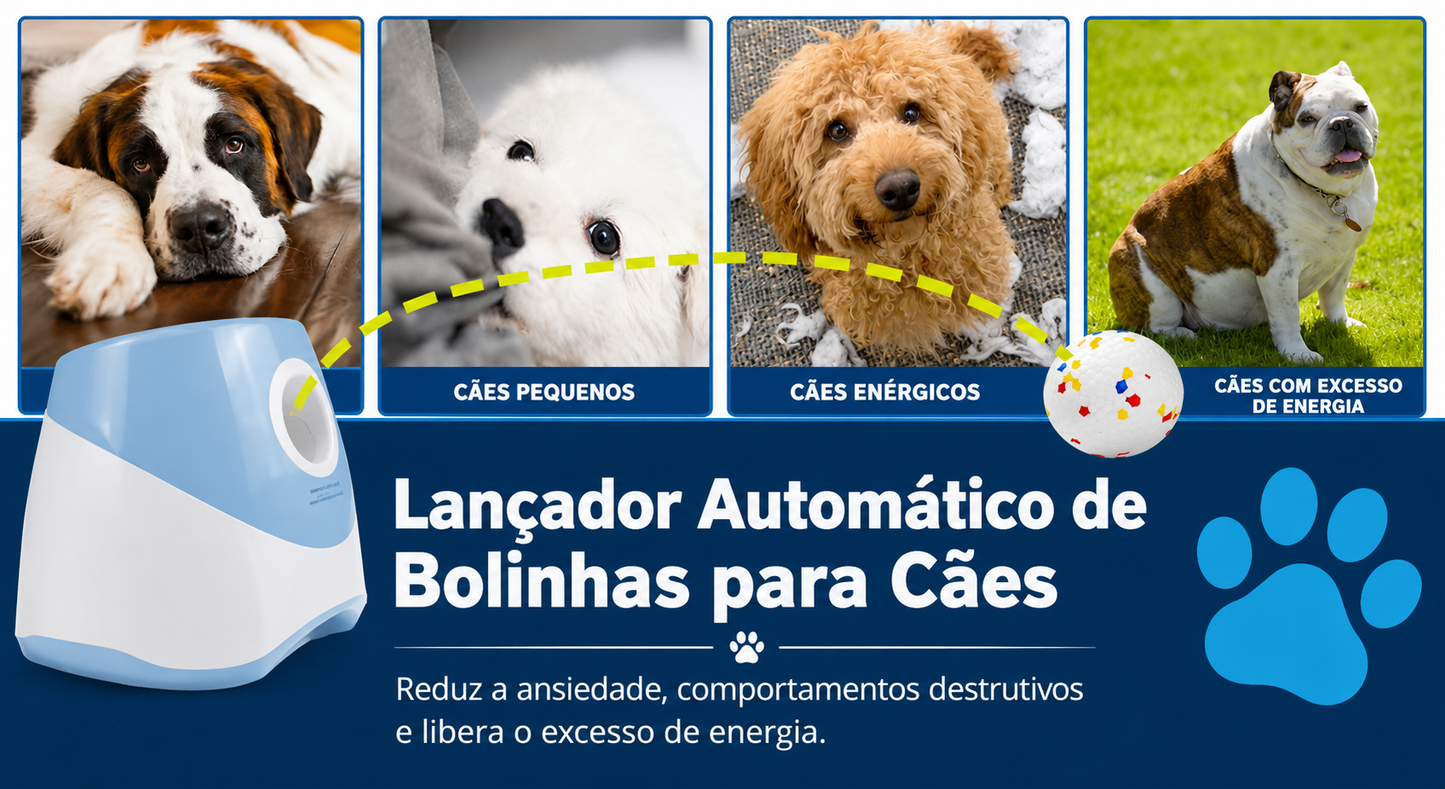 Lançador Automático de Bolinhas para Cães