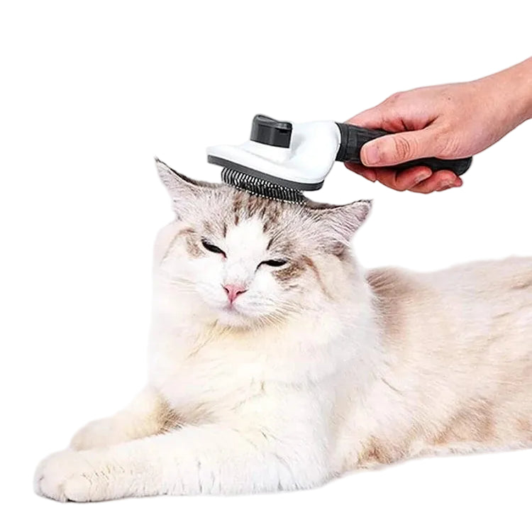 Escova Autolimpante para Cães e Gatos – Remove Pelos com Um Clique
