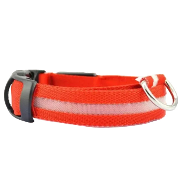 Coleira LED Recarregável USB para Pets