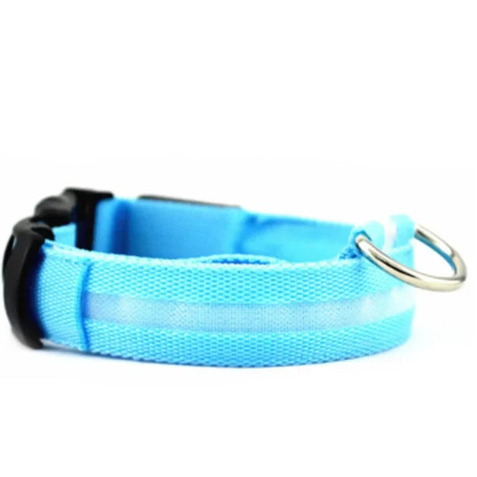Coleira LED Recarregável USB para Pets