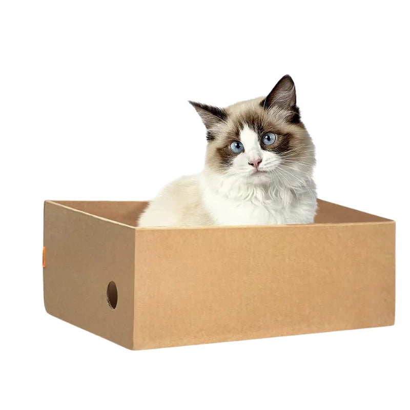 Arranhador de Papelão para Gatos | Kit com 4 Peças