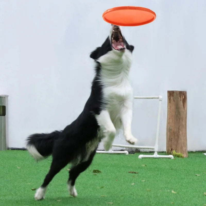 Disco Voador Interativo para Pets