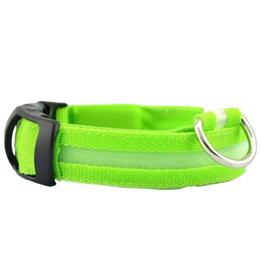 Coleira LED Recarregável USB para Pets