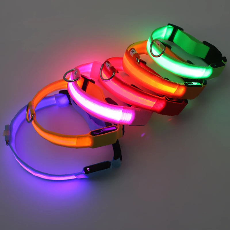 Coleira LED Recarregável USB para Pets