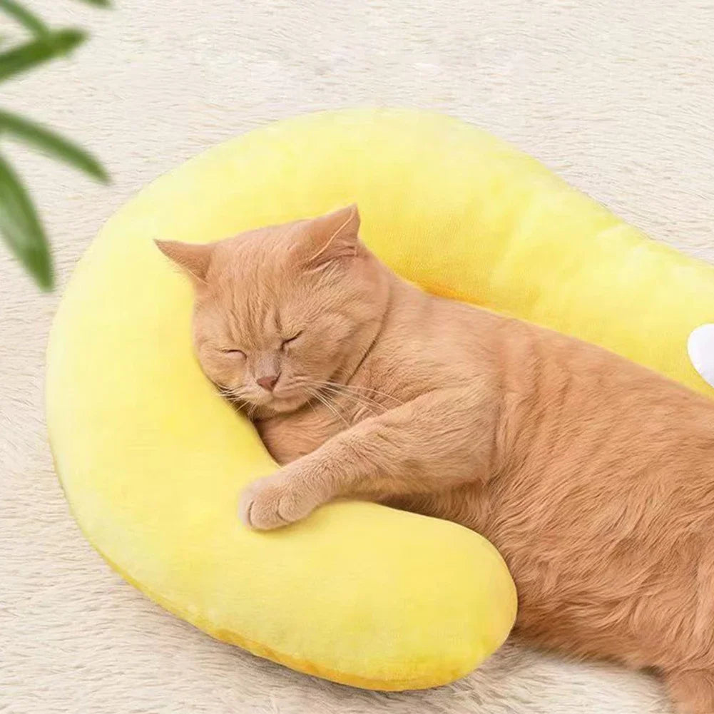 Almofada Ergonômica Pet