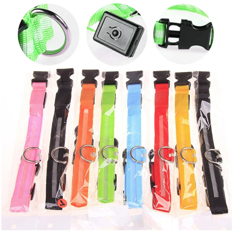 Coleira LED Recarregável USB para Pets