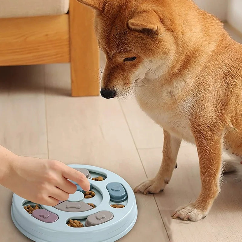 PlayBowl | Alimentação Divertida e Sem Ansiedade