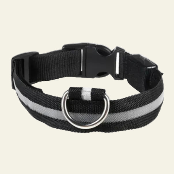 Coleira LED Recarregável USB para Pets