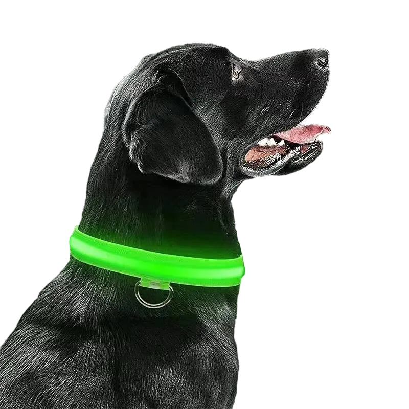 Coleira LED Recarregável USB para Pets